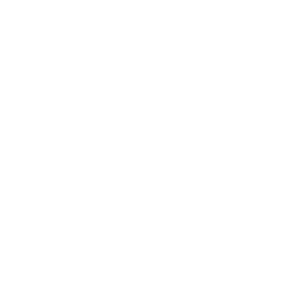 BrandFounder icon