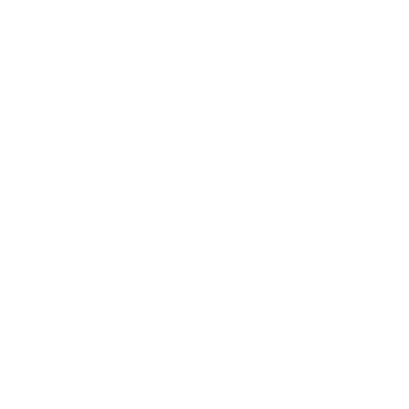 Goalsreach icon